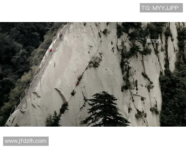 攀岩之路：陈伟与自然对话的深刻人生探索